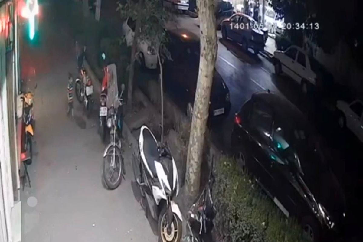 پلمب یک واحد صنفی درپی حمله سگ به یک کودک فیلم