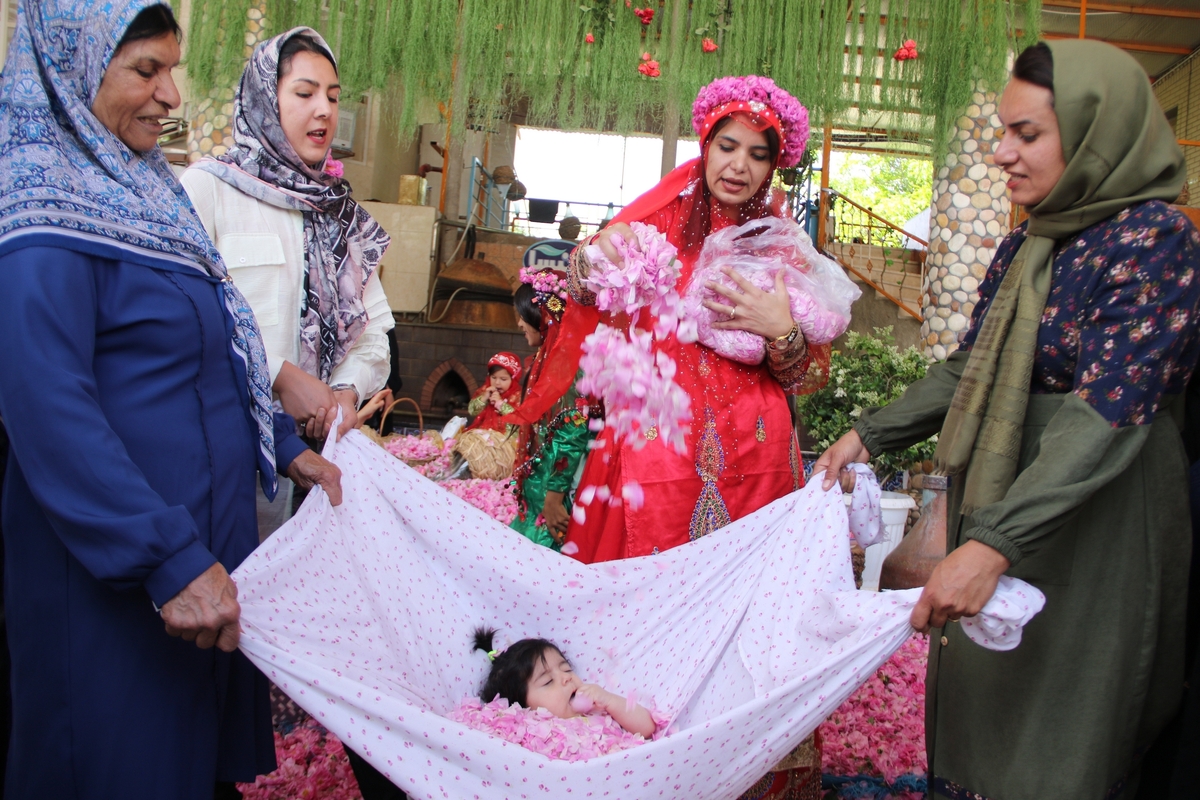 گل غلتان نوزادان در چهارمین روز هقته میمند