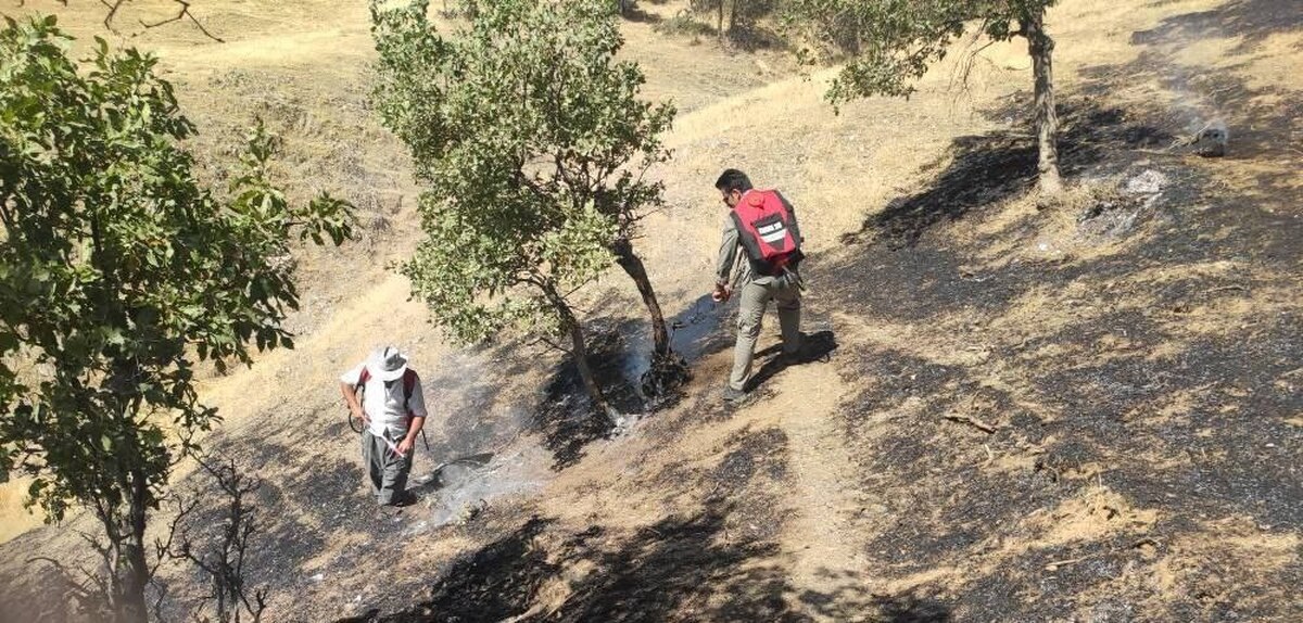 مهار آتش‌سوزی در جنگل‌های گولک پیرانشهر