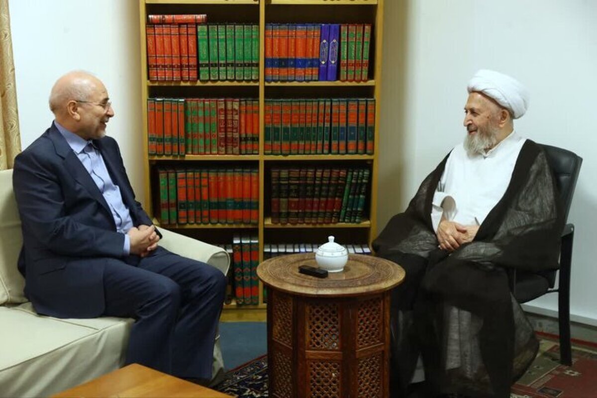 رئیس مجلس شورای اسلامی با آیت‌الله سبحانی دیدار کرد