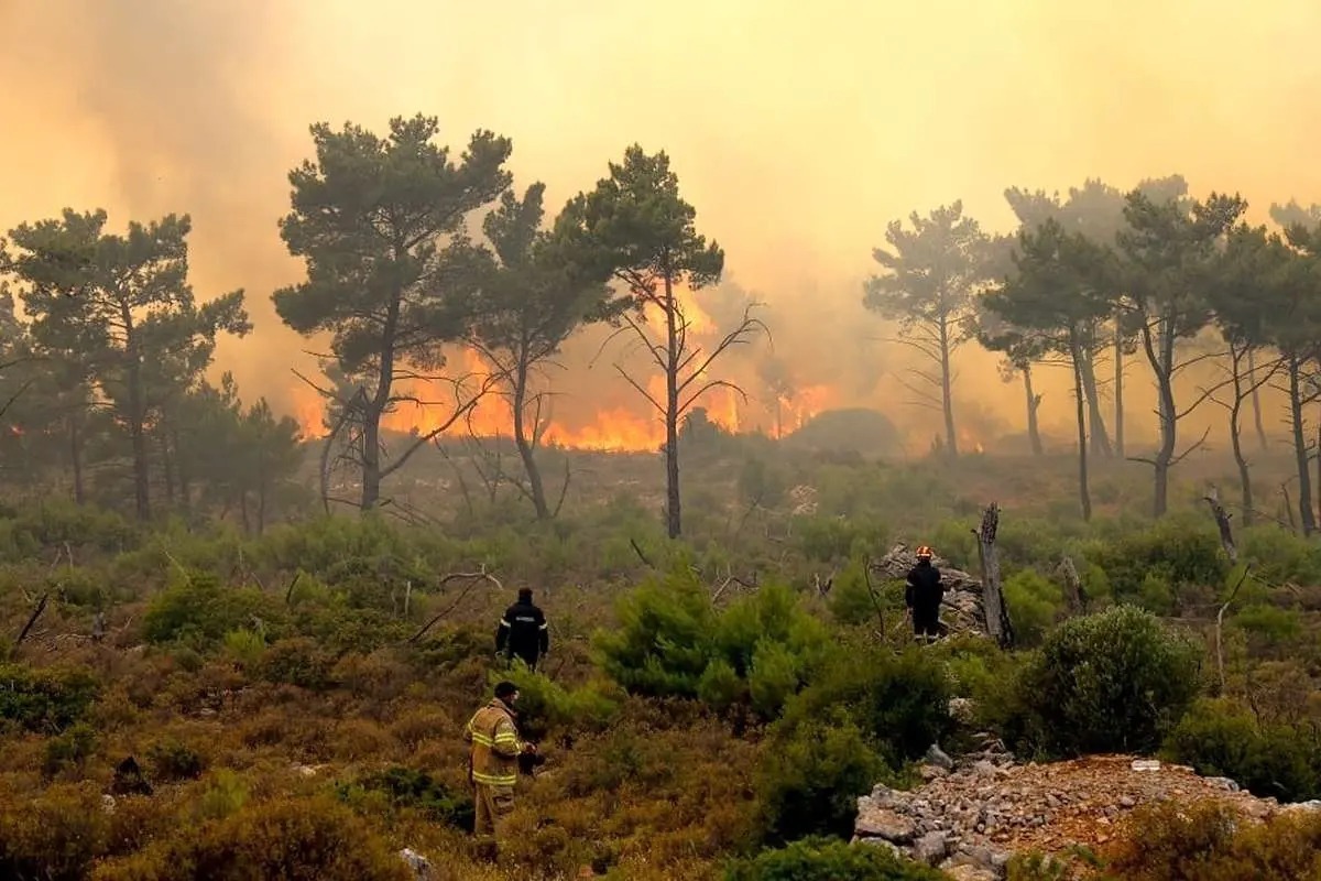 آتش‌سوزی جنگل‌های هیرکانی مازندران درحال مهار شدن/ تلاش ۵۰۰ نفر برای کنترل حریق ادامه دارد