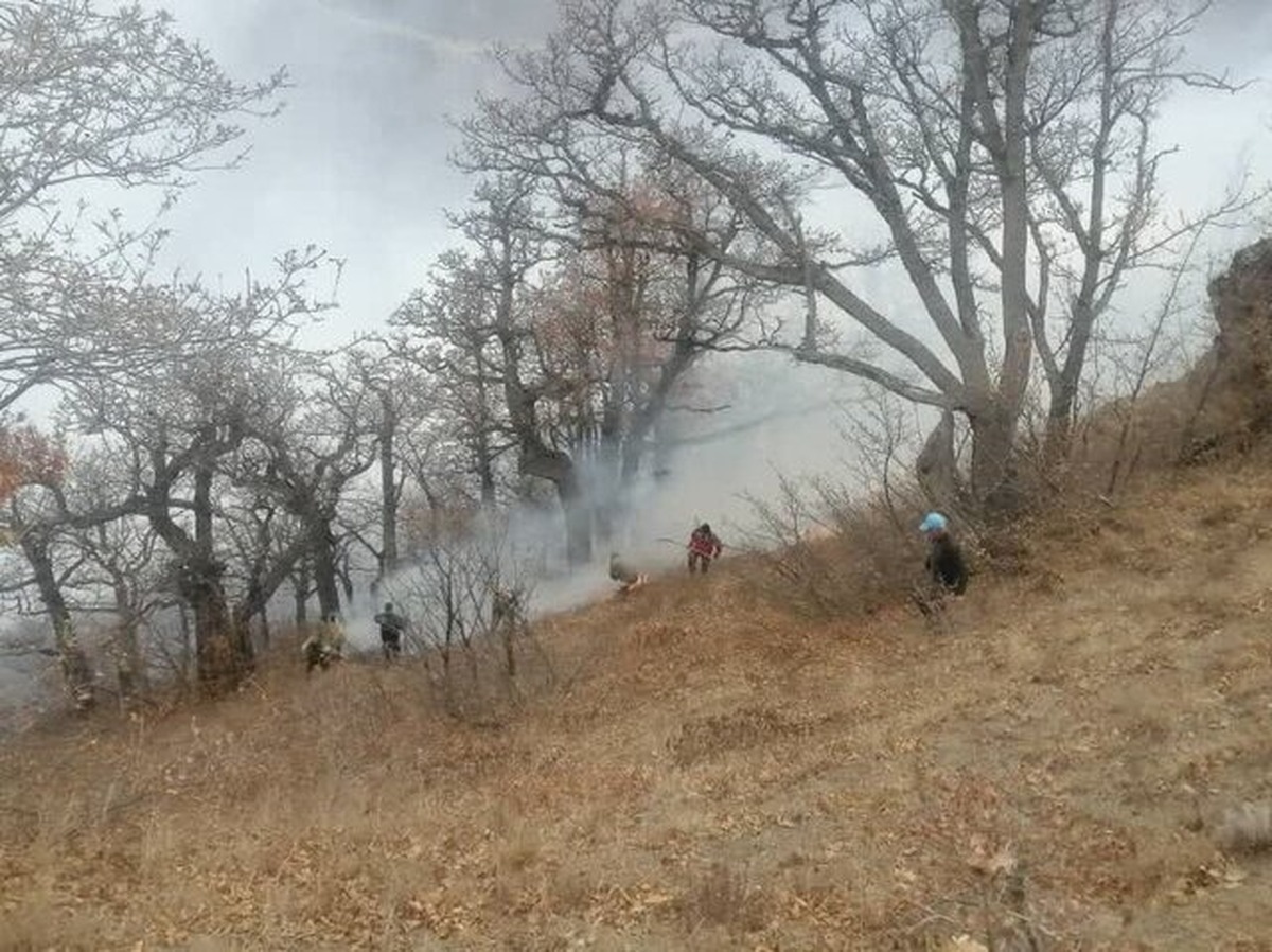 آتش‌سوزی وسیع جنگل الیت مهار شد