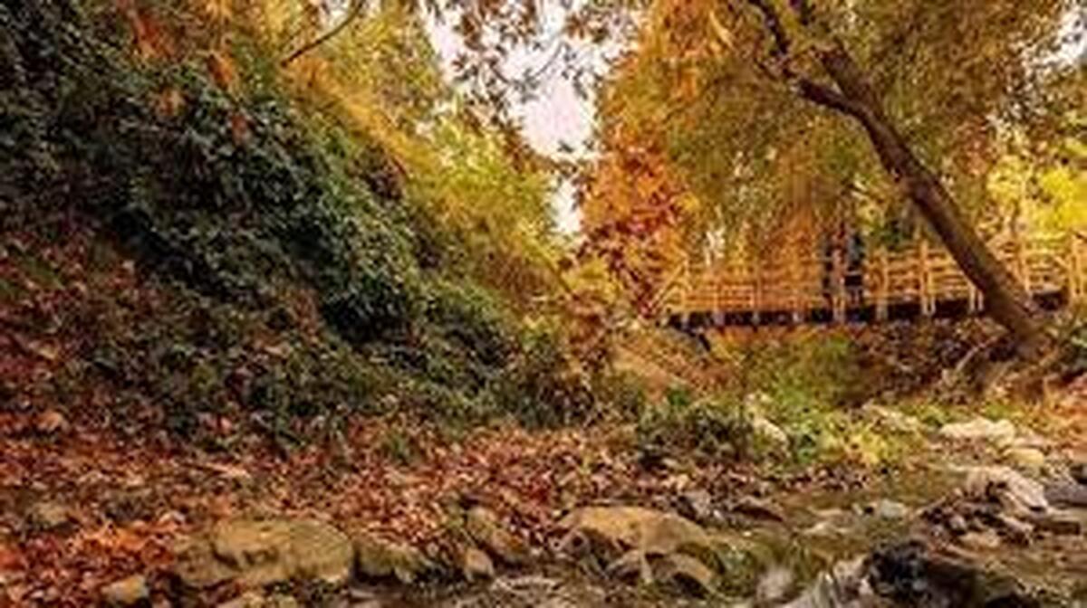 جزئیات فاز دوم روددره فرحزاد/ بهره‌برداری تا پایان سال